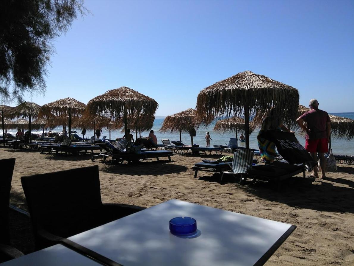 Island Vila