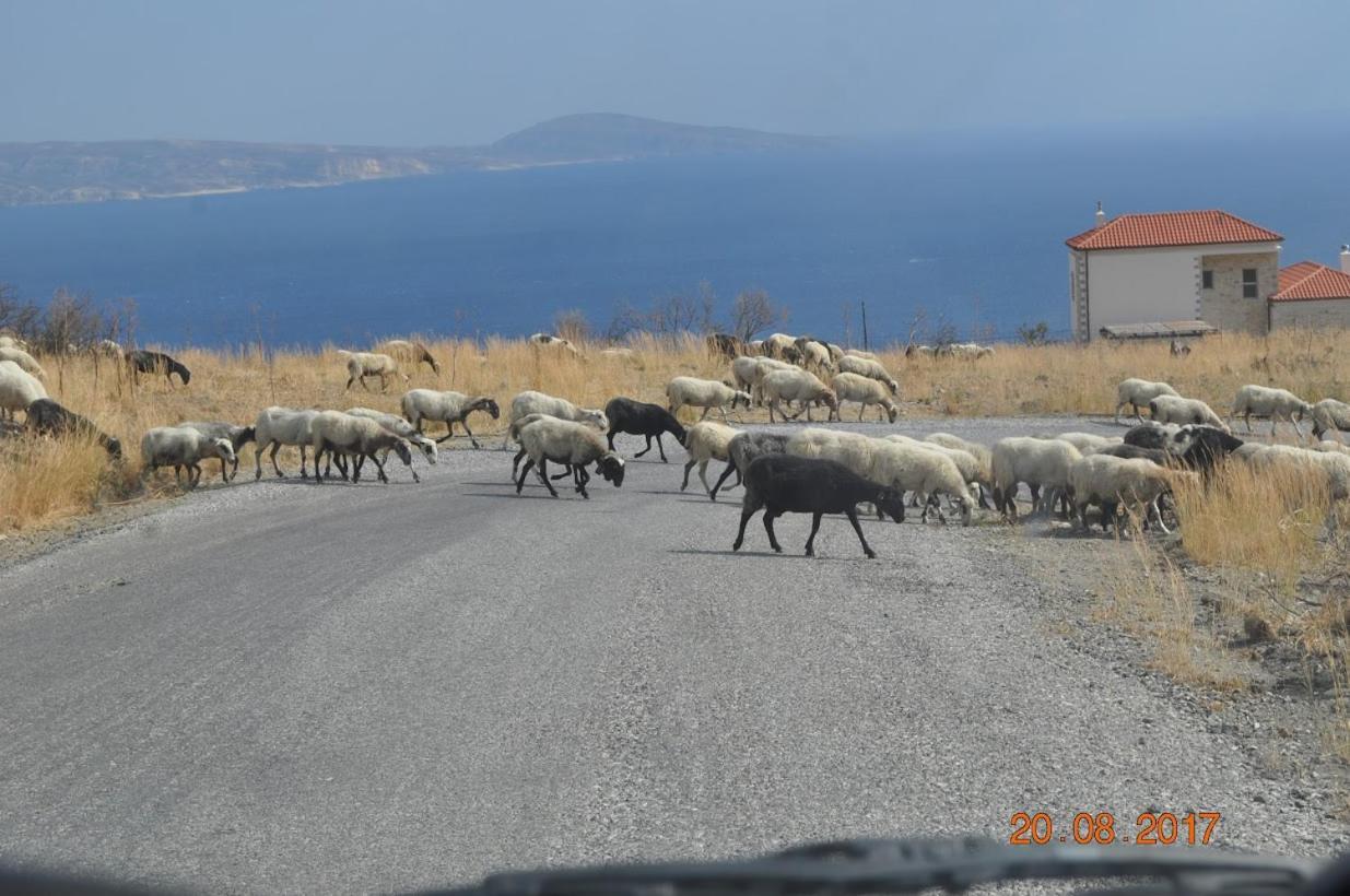 Villa Island Agia Galini