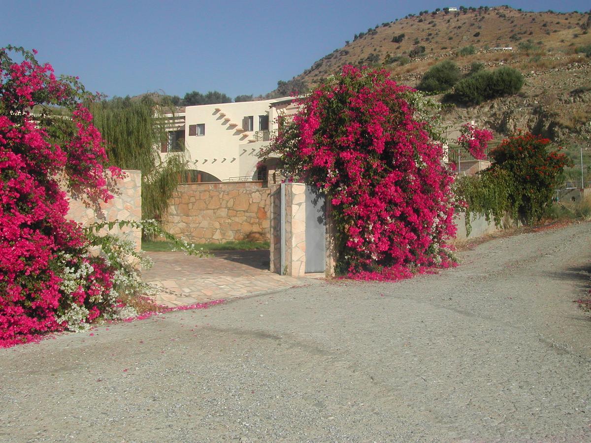 Island * Agia Galini